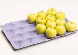Molded Pulp Fiber Made Apple Tray
