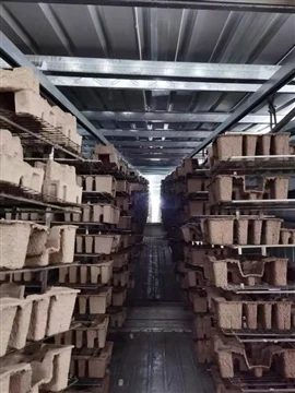 Għaliex il-Polpa Molded Hija Alternattiva Sostenibbli: Riċiklata, Bijodegrada...